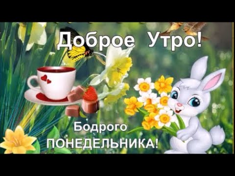 С Добрым Утром!Понедельник! Прекрасного Настроения!