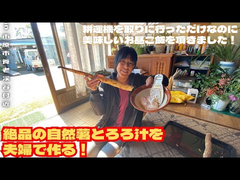 絶品の自然薯とろろ汁を夫婦で作る！【里山再生・土壌改善・開拓型農業アクティビティ里山体験受付中】