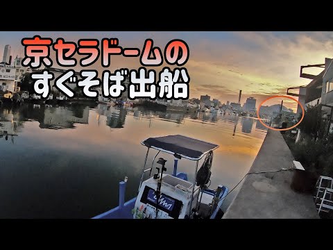 【番外編】大阪のど真ん中から出船!!【タツ建丸】~神戸沖タチウオ釣り編~