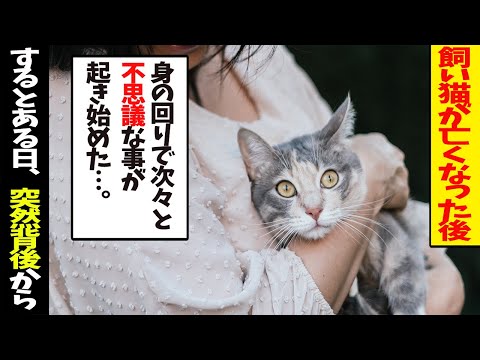 【不思議な話】飼い猫がなくなった後、身の回りで不思議な事起き始めた。→「そこのあなた！もしかして…」ある日、歩いていると突然占い師に話しかけられると…。【朗読】【感動】