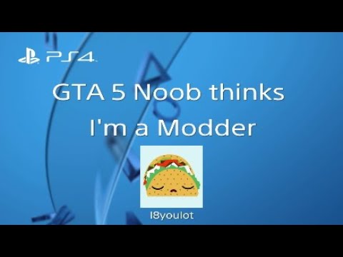 GTA 5 Noob thinks I'm a Modder!