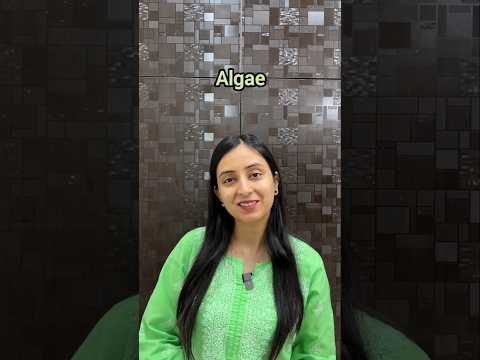 Features of Algae | Plant Kingdom #shorts #ytshorts #neet #biology #study #biology