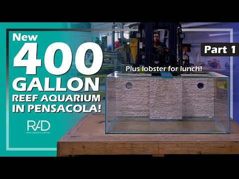 400 GALLON REEF AQUARIUM SYSTEM DESIGN AND INSTALLATION IN PENSACOLA (Part 1) | REEF AQUARIA DESIGN