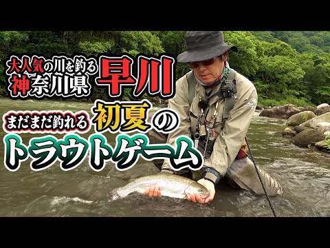 早川で狙う初夏のトラウト/飯田重祐が解説するアレキファミリー