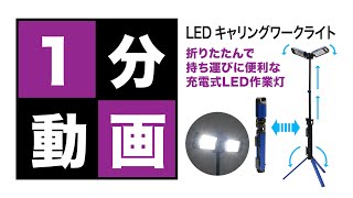 LEDキャリングワークライト　PCWL-190TW