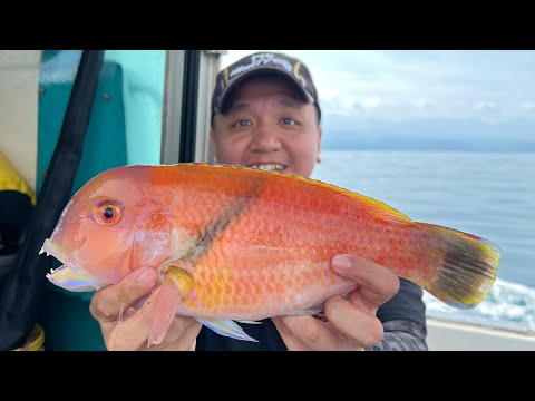 [釣遊系列] 淡水半日班，鏡面海石斑石咾來捧場！