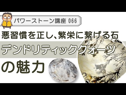 【デンドリティッククォーツ　パワーストーン徹底解説】家族円満のお守り、未来の繁栄に導く石