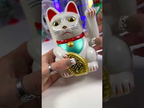 Waving Fortune 🥠 Cat 🐈 #fortune #asmr #fivebelow