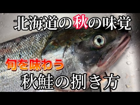 北海道の鮭の食べ方！秋鮭1匹捌いたら！赤い宝石ザックザク