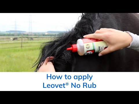 How to apply Leovet® No Rub to your horse's mane and tail