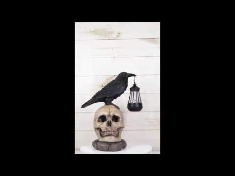 Ebros Edgar Corvus Raven Perching On Rose Skull Statue With Solar LED Lantern Light