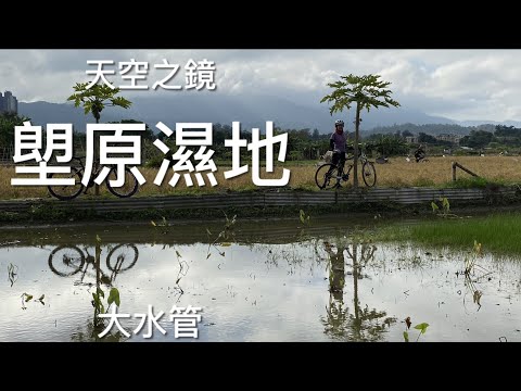 河上鄉 - 大水管秘道 - 塱原濕地稻田美景 - ｛單車篇 Hong Kong Cycling}