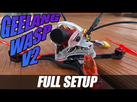 FPV Bind & Fly Setup - Geelang Wasp V2