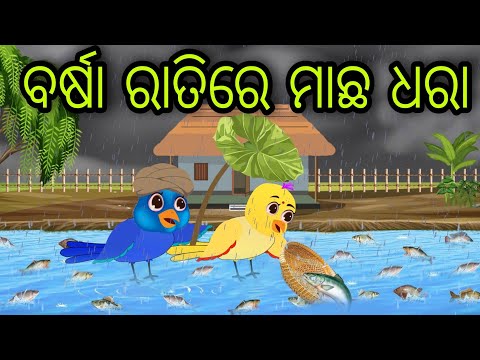 ବର୍ଷା ରାତିରେ ମାଛ ଧରା | Ratire Machha Dhara | Tiki Chadhei Gapa | Odia Chadhei Gapa | New Story