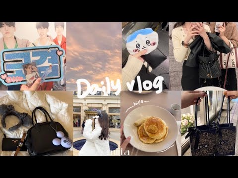 vlog | 休日4日間🥣|お買い物|購入品|carat|ちいかわ|お泊まりディズニー🛌