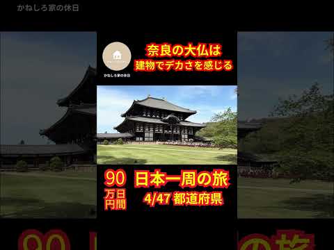 奈良の大仏は建物でデカさを感じる #shorts #旅行 #観光 #旅 #日本一周 #夫婦 #奈良 #鹿 #大仏