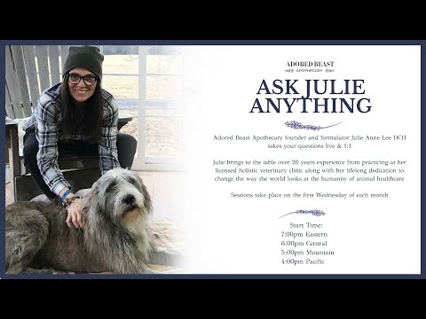 Ask Julie Anything - January 2022