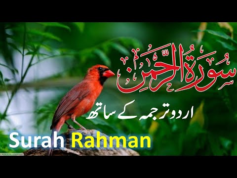 Surah Rahman With Urdu Translation | سورة الرحمن | Quran with Urdu and Hindi Translation | rahman