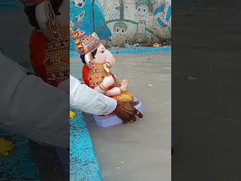 ganpati visarjan #ganapativisarjan #youtubeshorts #homebappa #shorts #ganeshchaturthi