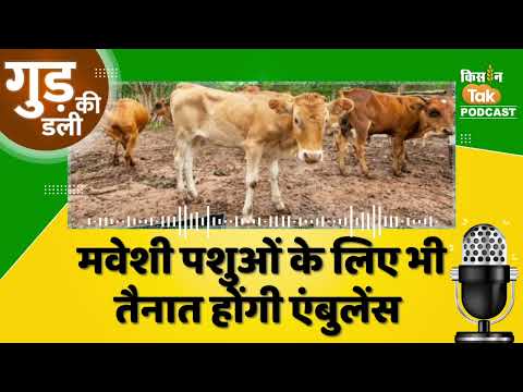 Podcast: चारा-पानी के साथ मवेशी जानवरों के लिए भी तैनात की जाएंगी एंबुलेंस #animalcare #newsupdate