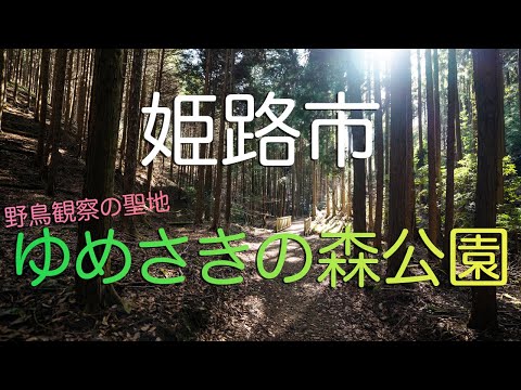 【兵庫県姫路市】野鳥観察の聖地・ゆめさきの森公園で低山ハイク！/ Yumesakinomori Park in Himeji, Hyogo Japan.