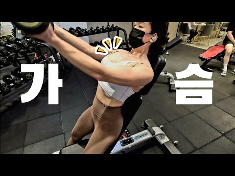 가슴 운동은 1년차 헬린이 | 중요한 팁들 모음 | 덤벨만 이용한 루틴 | 여자 헬스 [vlog]