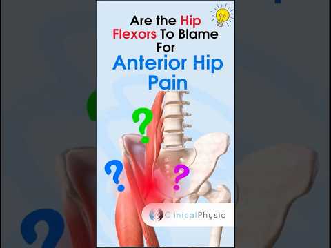 Anterior Hip Pain #physiotherapy #physicaltherapy #hippain #hipflexor #anteriorhippain #anatomy