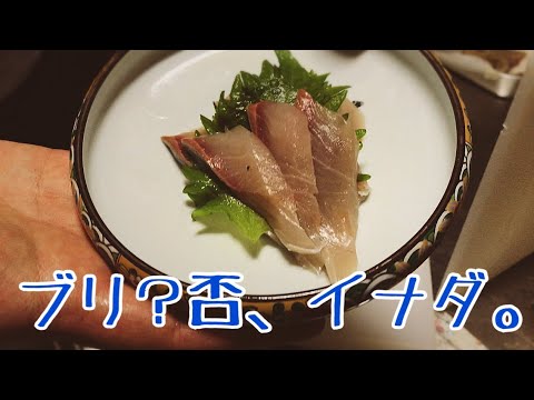 寒ブリならぬ寒イナダが美味しかった！