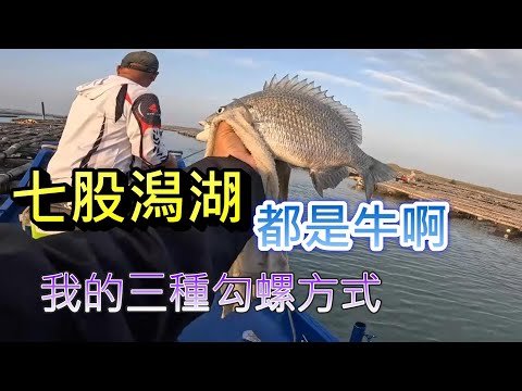 七股潟湖沒經驗 旁邊釣客都對我很好 報我去大牛棚釣