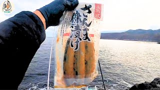 糠サンマを餌にしたらめっちゃ釣れた【投げ釣り】#釣り #fishing  #casting