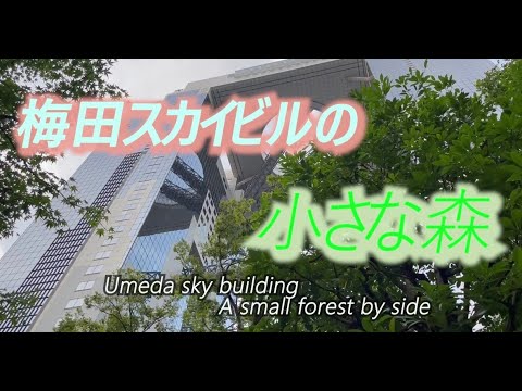 大阪【梅田スカイビル】★散歩動画★A small forest near the Umeda Sky Building  梅田スカイビルの　小さな森