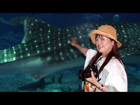 【美ら海水族館でじんべえタッチ☆！？】沖縄旅行　古宇利島　万座毛　首里城　那覇　国際通り　パンケーキ・パニラニ