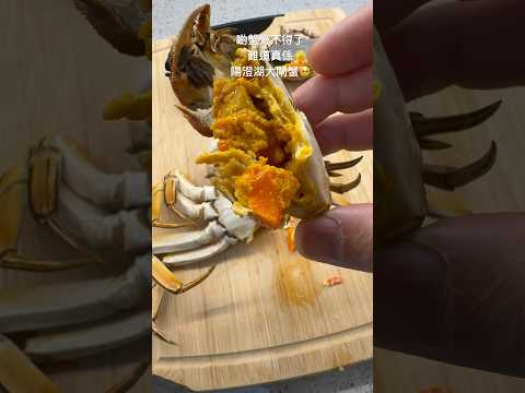 《四位小朋友：第一次食大閘蟹🦀》😋 $400一隻值唔值？🥲