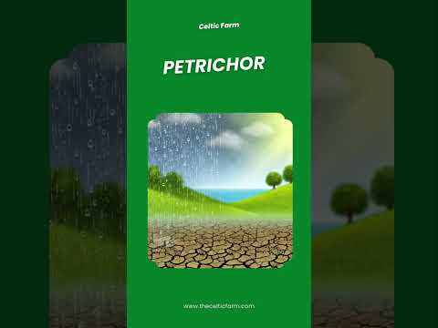 PETRICHOR - Gardening Word of the Day #gardentips #garden #gardeningadvice