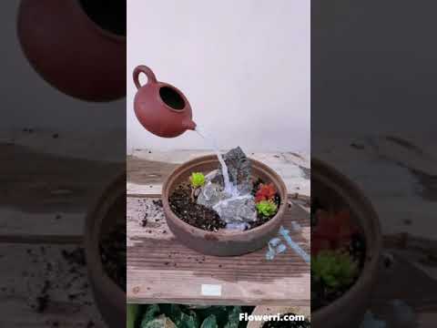 Build a Floating Teapot and Succulent Garden