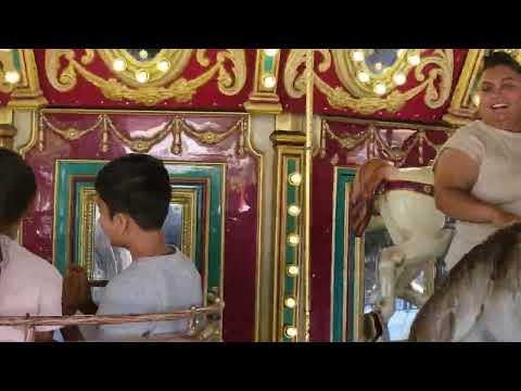 Go go mery-go-round :Carousel at Dallas Zoo