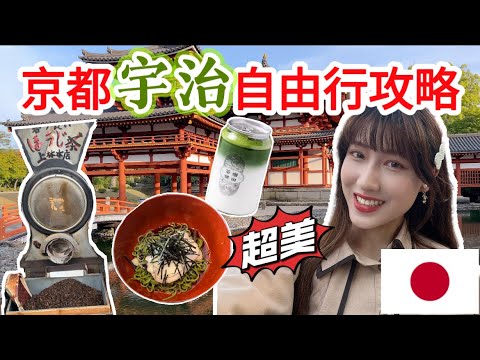 How to Explore the Land of Matcha? Incredibly Ancient and Beautiful! A Paradise for Matcha Mania!