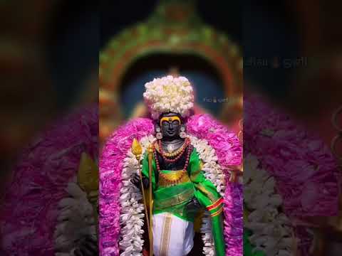 திருச்செந்தூர் முருகனுக்கு அரோகரா