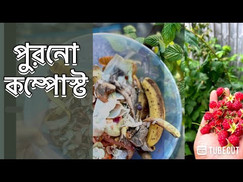 পুরনো কম্পোস্ট এর উর্বরতা ফিরিয়ে আনার সহজ উপায়