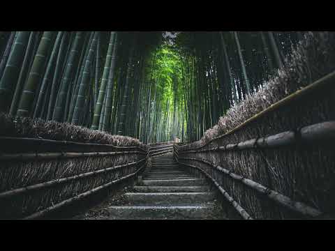 Shakuhachi Meditation Music - Safe Delivery "Rodrigo Rodriguez"