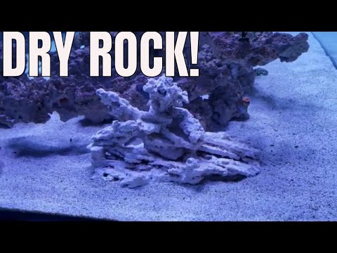 Adding dead rock to established tank