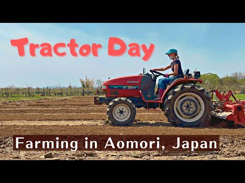 My Life in Japan - Farming and Sakura in Goshogawara, Aomori