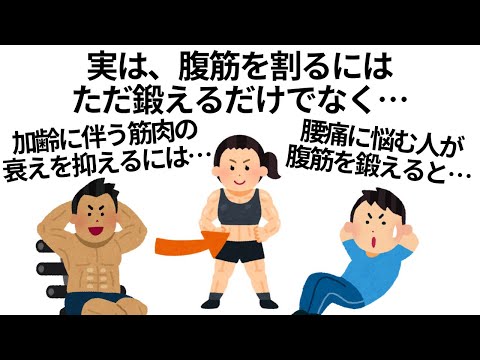 【腹筋は凄い‼️】筋トレのためになる雑学まとめ