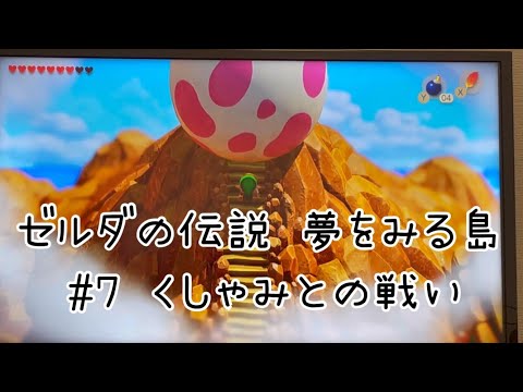 【閲覧注意】ゼルダの伝説 夢をみる島#7【くしゃみとの戦い】