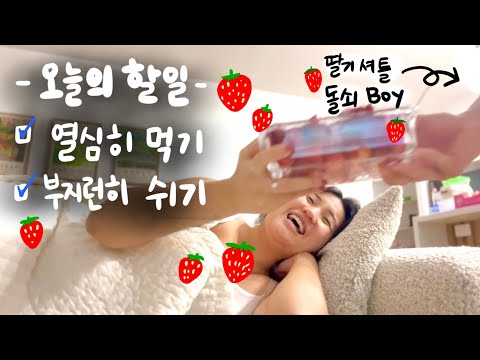 [🤰🏻vlog] 입덧이..사라지나..? 마님과 돌쇠 생활에 익숙해진 임신 중기! 열심히 먹고 쉬는 일상 (feat. 축 시누언니 셋째아기 출산)