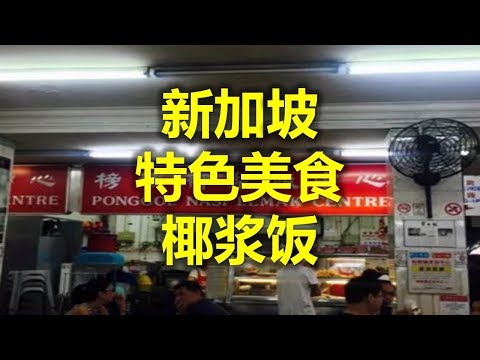 新加坡特色美食 - 椰浆饭   (www.jb2sg.com)