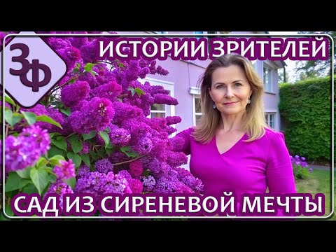 Ретроспектива 37-23 Сад из Сиреневой Мечты | Истории Наших Зрителей