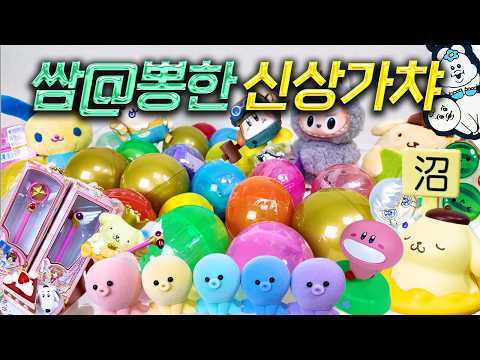 폼폼푸린이 명한다 최신상 가챠 봉인해제💛 ~고품격 가챠 큐레이션~