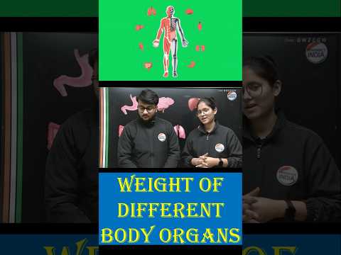 Body Organs & Their Weight 🫁#biology #humananatomy #pharmacyindia