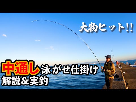 【中通し泳がせ釣り】爆釣泳がせ仕掛けを徹底解説。爆風でも一切トラブル無し!【実釣あり】